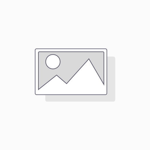 Micasense DLS2 Mount for DJI Matrice 300/350 RTK
